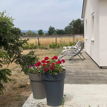 Les Bouquets D'eugenie Craintilleux